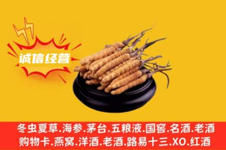 阳江市阳东回收冬虫夏草
